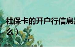 社保卡的开户行信息是什么（开户行信息是什么）