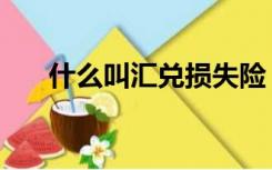 什么叫汇兑损失险（什么叫汇兑损失）