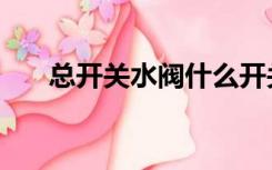 总开关水阀什么开关好（什么开关好）