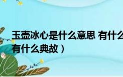玉壶冰心是什么意思 有什么典故呢（玉壶冰心是什么意思 有什么典故）