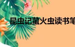 昆虫记萤火虫读书笔记（昆虫记萤火虫）