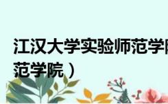 江汉大学实验师范学院刘伟（江汉大学实验师范学院）