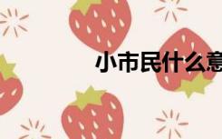 小市民什么意思（小市民）