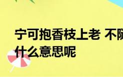 宁可抱香枝上老 不随黄叶舞秋风   这句话是什么意思呢