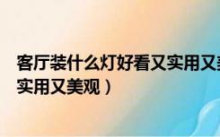 客厅装什么灯好看又实用又美观图片（客厅装什么灯好看又实用又美观）
