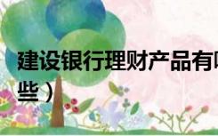 建设银行理财产品有哪些（银行理财产品有哪些）