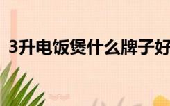 3升电饭煲什么牌子好（电饭煲什么牌子好）
