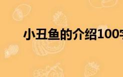 小丑鱼的介绍100字（小丑鱼的介绍）