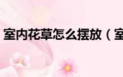 室内花草怎么摆放（室内花草装饰怎么布置）