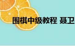 围棋中级教程 聂卫平（围棋中级教程）
