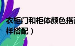 衣柜门和柜体颜色搭配（衣柜柜体颜色与门怎样搭配）