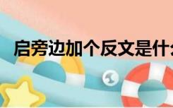 启旁边加个反文是什么字（启字加反文旁）