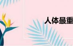 人体最重要的穴位