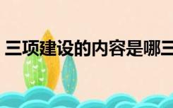 三项建设的内容是哪三项（三项建设是什么）