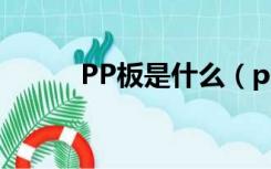 PP板是什么（pp板是什么材料）