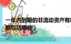 一年内到期的非流动资产有哪些（一年内到期的非流动资产都包括哪些）