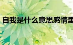自我是什么意思感情里的（自我是什么意思）