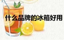 什么品牌的冰箱好用（什么品牌的冰箱好）