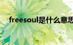 freesoul是什么意思（soul是什么意思）