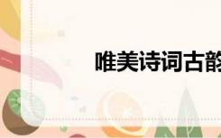 唯美诗词古韵（唯美诗词）