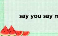 say you say me歌词中文翻译