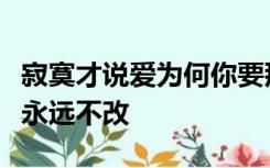 寂寞才说爱为何你要那么坏当初是谁告白说爱永远不改