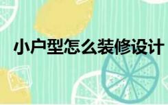 小户型怎么装修设计（超小户型怎么装修）