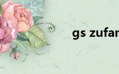 gs zufangzi com