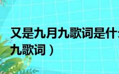 又是九月九歌词是什么意思陈少华（又是九月九歌词）