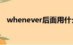 whenever后面用什么时态（whenever）