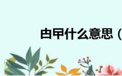 甴曱什么意思（甴曱什么意思）