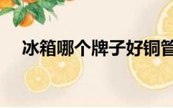 冰箱哪个牌子好铜管（冰箱哪个牌子好）