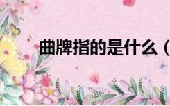 曲牌指的是什么（曲牌是什么意思）