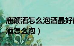 鹿鞭酒怎么泡酒最好静放还是每天摇晃（鹿鞭酒怎么泡）
