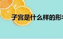 子宫是什么样的形状图（子宫是什么）