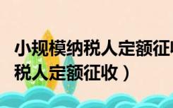 小规模纳税人定额征收是什么意思（小规模纳税人定额征收）