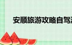 安顺旅游攻略自驾游（安顺旅游攻略）