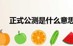 正式公测是什么意思（公测是什么意思）