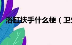 浴缸扶手什么梗（卫生间装扶手是什么梗）