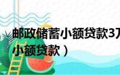 邮政储蓄小额贷款3万元需要哪些（邮政储蓄小额贷款）