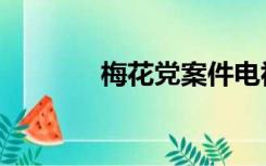 梅花党案件电视剧（梅花党）