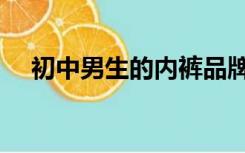 初中男生的内裤品牌（初中男生的内裤）