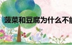 菠菜和豆腐为什么不能一起吃苣麦菜能吃吗