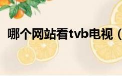 哪个网站看tvb电视（看tvb电视剧的网站）