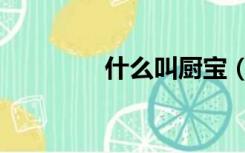 什么叫厨宝（什么是厨宝）
