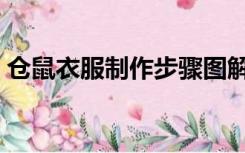 仓鼠衣服制作步骤图解（仓鼠衣服制作方法）