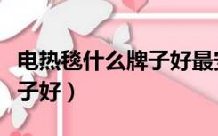 电热毯什么牌子好最安全知乎（电热毯什么牌子好）