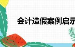 会计造假案例启示（会计造假案例）