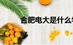 合肥电大是什么学历（合肥电大）