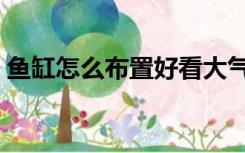 鱼缸怎么布置好看大气（鱼缸怎么布置好看）